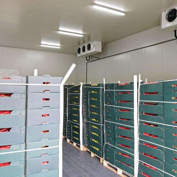 Food storage flooring done with epoxy for easy cleaning and long-term performance, installed by Epoxy Flooring Guys Sydney.